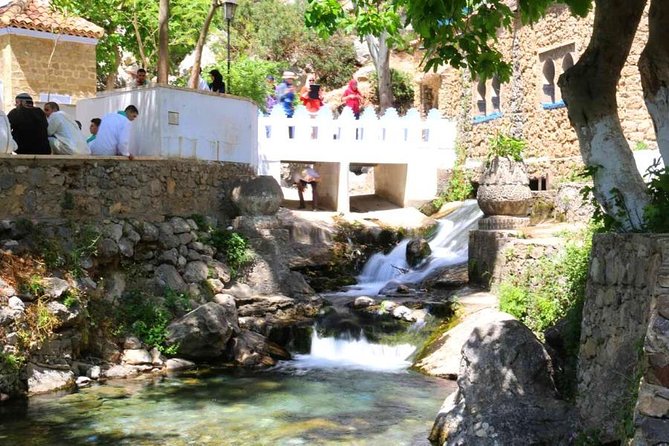 Private Full-Day Trip From Tangier To Chefchaouen - Reviews and Ratings