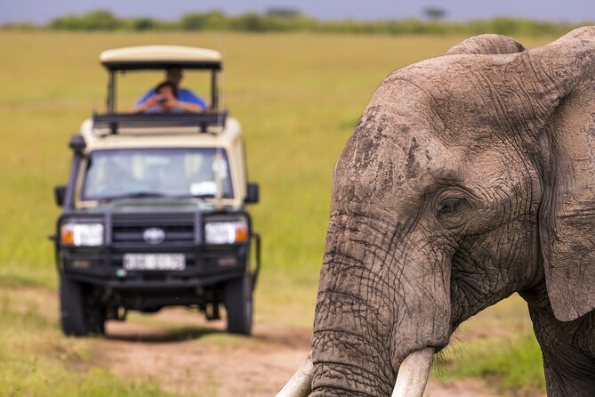 Private Full Day Trip in Lake Manyara National Park - Pickup Details and Operating Hours