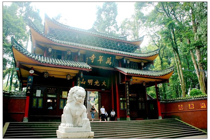 Private Full-day Trip: Leshan Giant Buddha&Emeishan Scenic Resort - Traveler Recommendations