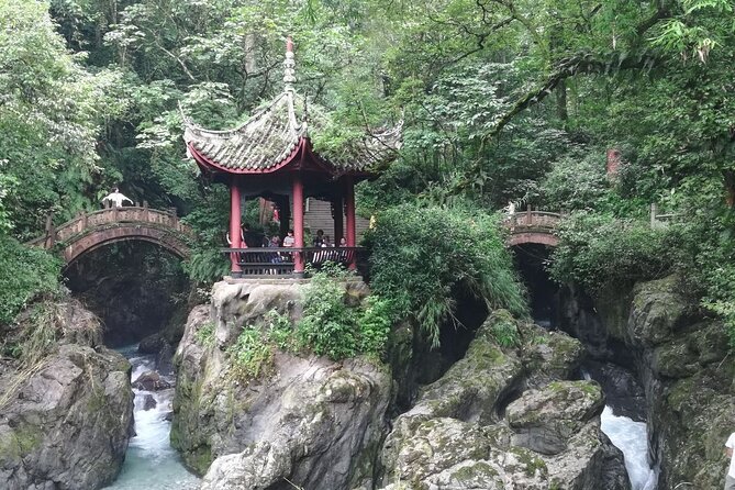 Private Full-day Trip: Leshan Giant Buddha&Emeishan Scenic Resort - Transportation Details
