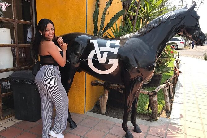 Private Full-Day Trip to Chapala and Ajijic From Guadalajara - Trip Overview