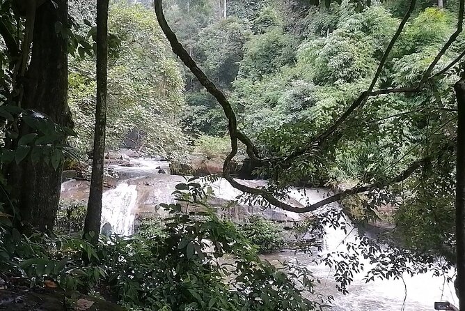 Private Full-Day Trip to Doiinthanon - Itinerary and Schedule