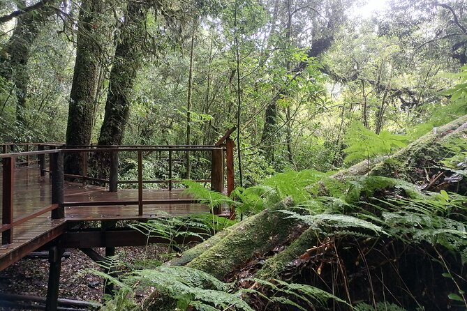 Private Full-Day Trip to Doiinthanon - Terms and Conditions