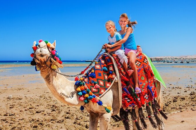 Private Full-Day Trip to Essaouira From Marrakech With Transfers - Reserve Your Spot