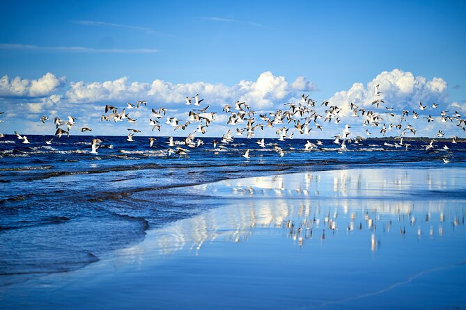 Private Full-Day Trip to Jurmala and Great Kemeri Bog Boardwalk - Booking Information