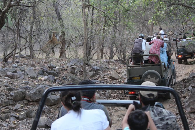 Private Full Day Trip to Ranthambore - Tour Details