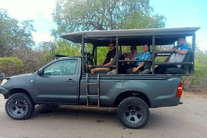 Private Full Day Udawalawe Safari Trip with Lunch - An Honest Look at the Private Full Day Udawalawe Safari Trip with Lunch