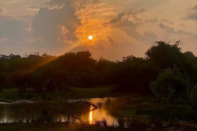 Private Full Day Udawalawe Safari Trip with Lunch - Good To Know