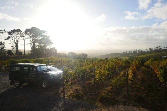 Private: Full Day Ultra-Premium Wine Tour From Cape Town to Constantia - Inclusions