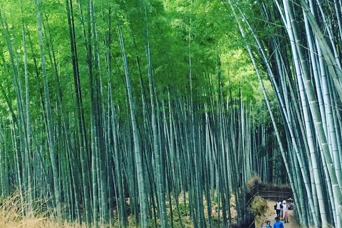 Private Full-Day Walking Tour of Kyoto - Pickup and Meeting Point Details