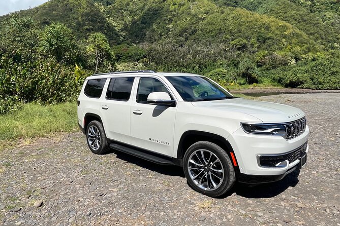 Private Full-Day Waterfall Beach and Jungle Tour of Maui - Traveler Resources