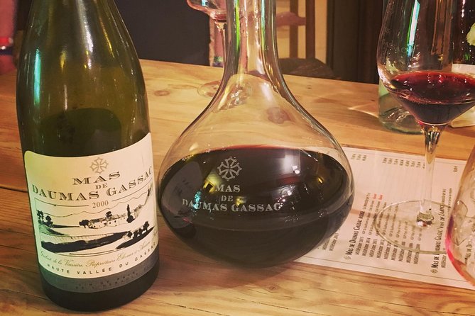 Private Full Day Wine Tour and Medieval Village From Montpellier - Reviews