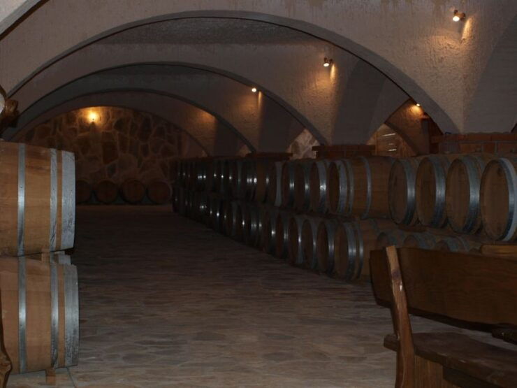 Private Full-Day Wine Tour From Dubrovnik to Peljesac - Activity Details