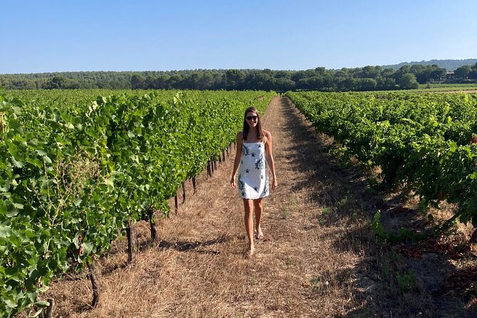 Private Full Day Wine Tour in Provence - Tour Details