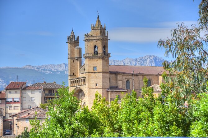 Private Full Day Wine Tour in Rioja - Tour Details