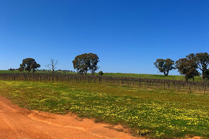 Private Full-Day Wineries Tour With Lunch, Canberra Region - Tour Highlights