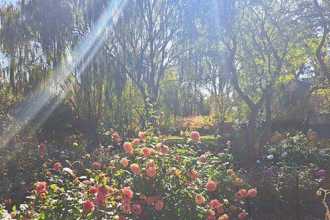 Private Full-Day Wineries Tour With Lunch, Canberra Region - Traveler Reviews