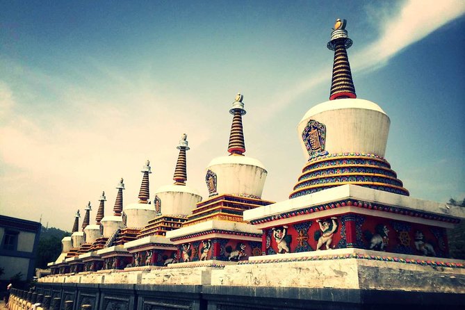 Private Full-Day Xining City Tour With Lunch - Tour Highlights