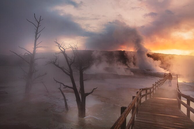 Private Full-Day Yellowstone National Park Tour - Common Questions