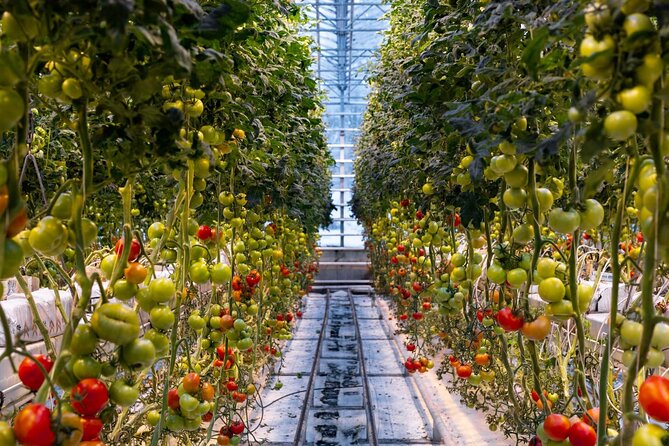 Private Full Golden Circle With Sky Lagoon Transfer by Luxury Van - Booking and Cancellation Policy