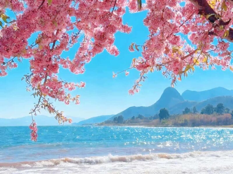 Private Fuxian Lake Day Tour from Kunming with Car & Guide - FAQs about the Fuxian Lake Day Tour