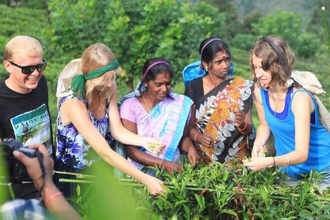 Private Galle Day Tour With Boat Safari & Tea Factory Visit - All Inclusive - Tour Details and Duration