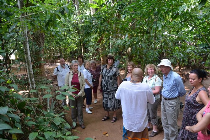 Private Galle Day Tour With Boat Safari & Tea Factory Visit - All Inclusive - Directions and Itinerary