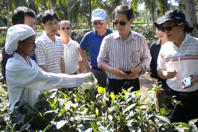 Private Galle Day Tour With Boat Safari & Tea Factory Visit - All Inclusive - The Sum Up