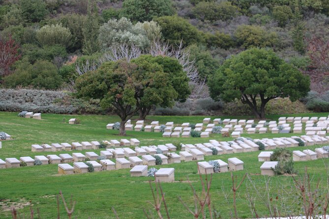 Private Gallipoli Full-Day Trip From Istanbul - Memorial Sites and Cemeteries