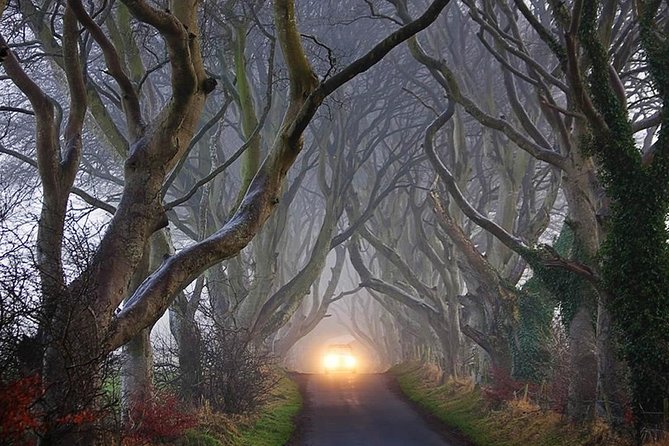 Private Game of Thrones Including Giants Causeway Causeway Coast Rope Bridge - What to Expect