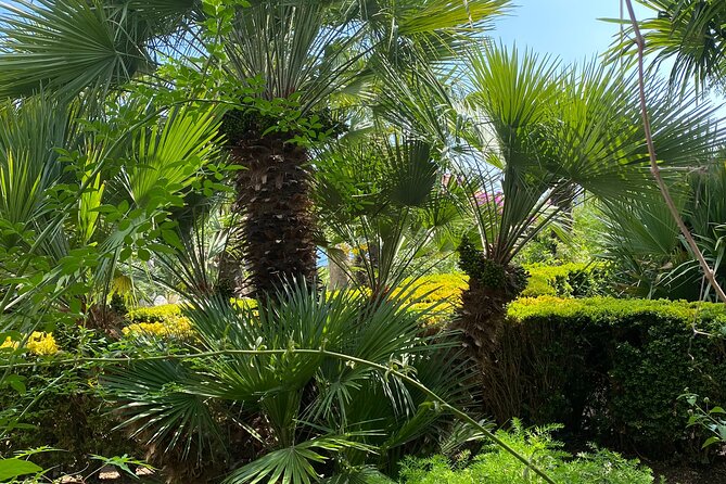 Private Game of Thrones Tour With Kings Landing Garden - Tour Highlights