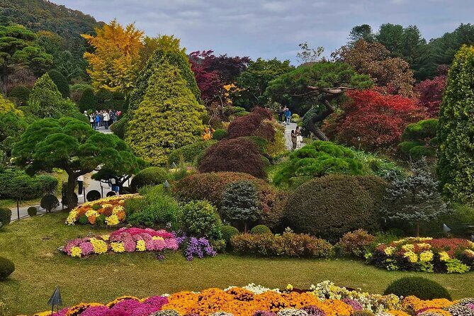 Private Garden of Morning Calm Experience - Authentic Insights from Past Reviews