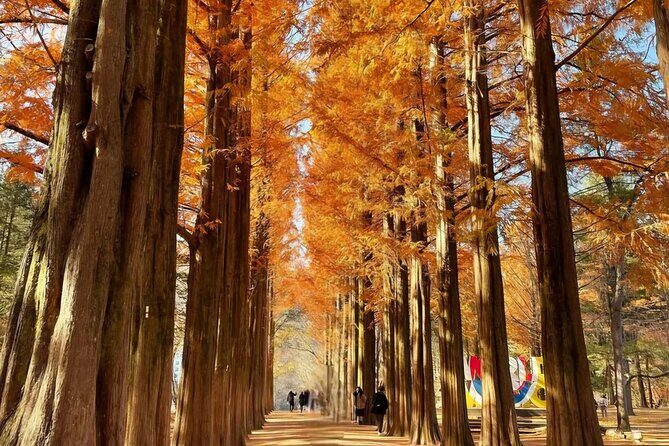 Private Garden of Morning Calm Experience - The Sum Up: Who Will Love This Tour?