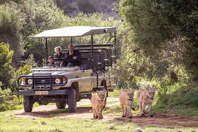 Private Garden Route Tour From Cape Town With Game Drive - Tour Overview