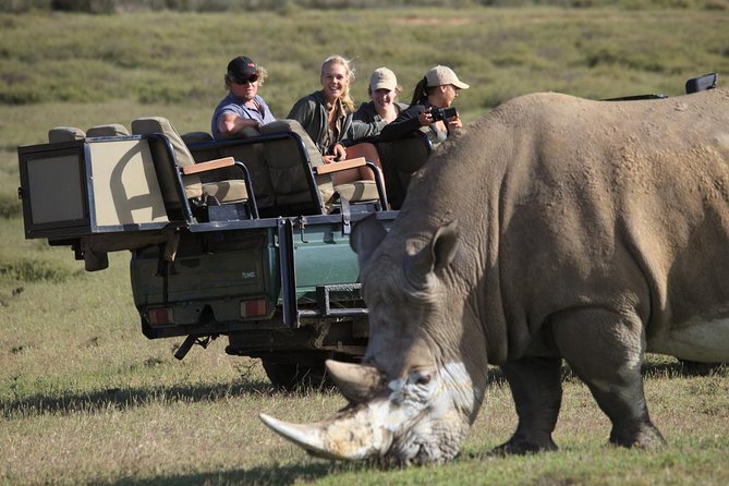 Private Garden Route Tour From Cape Town With Game Drive - Traveler Photos