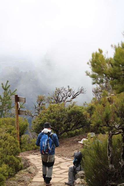 Private - Gastro Hike With Levada Walk and Local Food - Experience