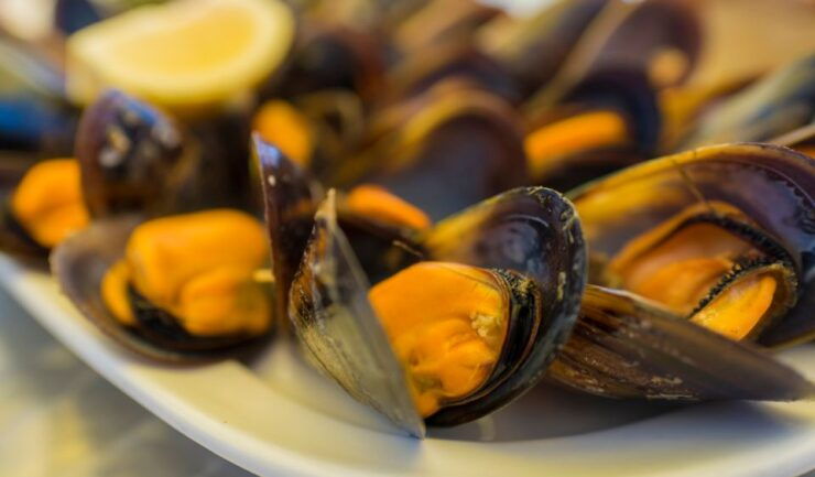 Private Gastronomical Tour in Santiago De Compostela - Tour Activity Details