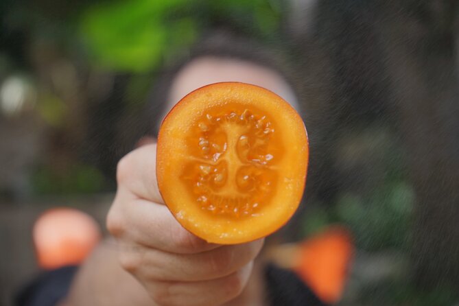 Private Getsemani Family Fruit Experience in Cartagena - Special Offer