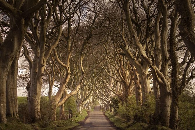 Private Giants Causeway Experience Extended From Belfast - Directions