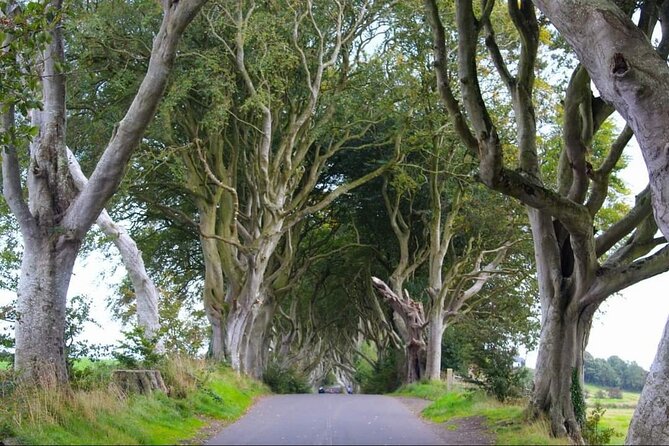 Private Giants Causeway Experience Including Game of Thrones - Frequently Asked Questions