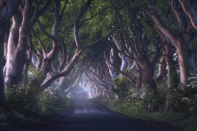 Private Giants Causeway Express Tour From Belfast - Booking Confirmation