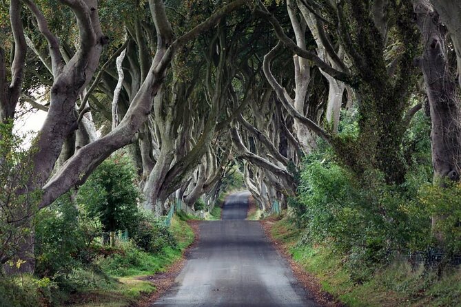 Private Giants Causeway Tour Including Game of Thrones Sites - Booking Information