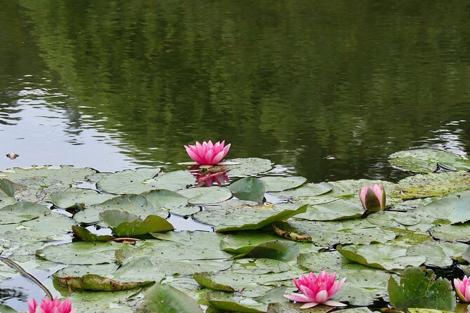 Private Giverny Half-Day Trip From Paris by Minivan, Lunch Option - Pricing and Group Size Options