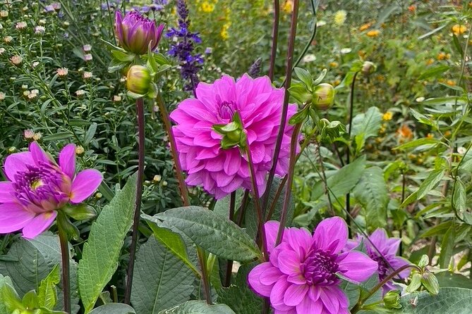 Private Giverny Roundtrip and Entrance Ticket From Paris - Booking Information