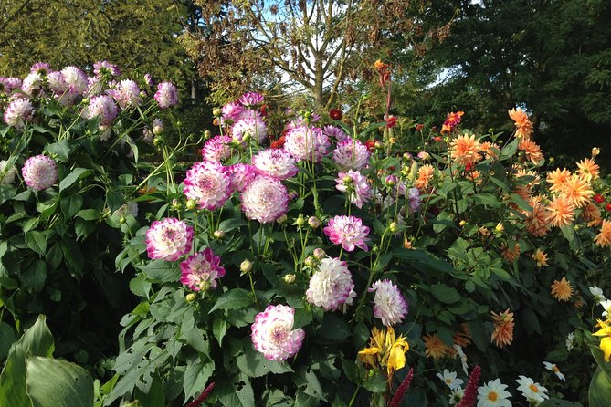 Private Giverny Tour for 1-2 Persons, Pick up & Drop Incl - Terms and Conditions