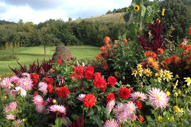 Private Giverny Tour for 5-7 Persons, Pick up & Drop Incl - Questions and Product Code