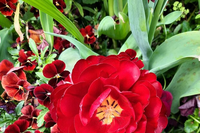 Private Giverny Trip and Entrance Ticket From Paris - Booking Questions