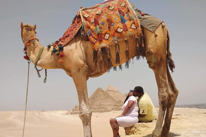 Private Giza Pyramids and Egyptian Museum Tour With Dinner at Nile Cruise - Additional Details and Accessibility