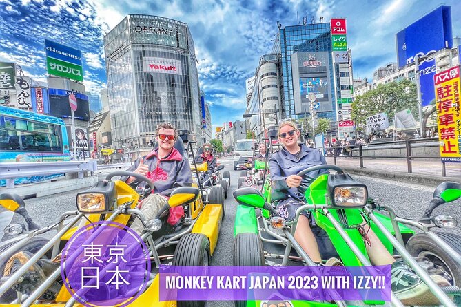 Private Go-Karting Tour of Shinjuku With Cartoon Costumes - Tokyo - The Perfect Activity to Make Lasting Memories