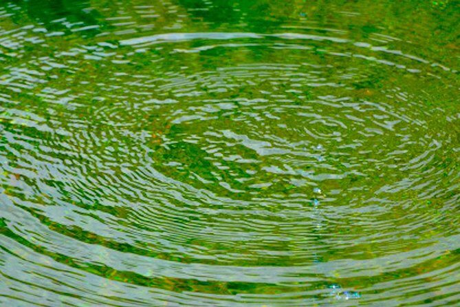 Private Goa tour of ancient rock art, laterite cave and bubble lake with lunch - The Experience: More Than Just Sightseeing